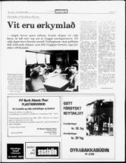 Síða 17