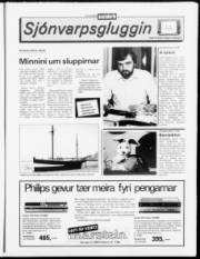Síða 11