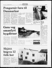 Síða 5
