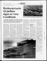 Síða 9