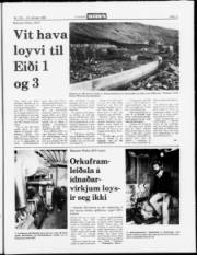 Síða 11