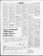 Síða 12