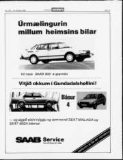 Síða 13