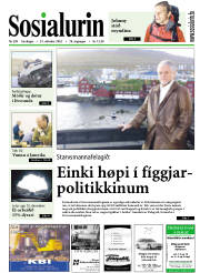 Síða 1