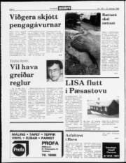 Síða 2