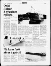 Síða 5
