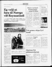 Síða 9