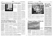 Síða 3