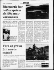 Síða 19