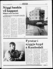 Síða 3