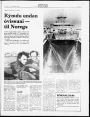 Síða 13