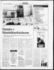 Síða 15