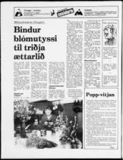 Síða 16