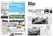 Síða 8