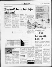 Síða 4