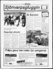 Síða 11