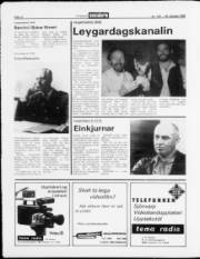 Síða 12