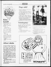 Síða 17