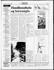 Síða 23