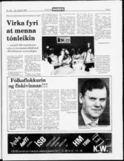 Síða 3