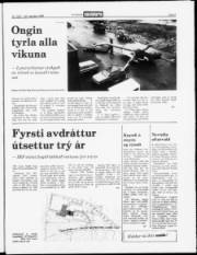 Síða 5