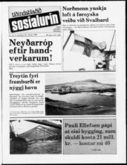 Síða 1