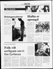 Síða 2
