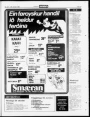 Síða 19