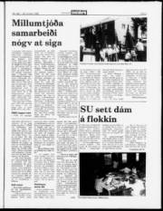Síða 9