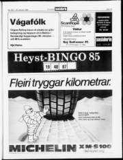 Síða 19