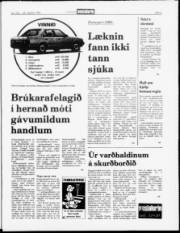 Síða 5