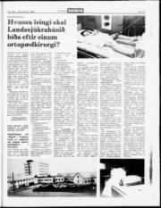Síða 15