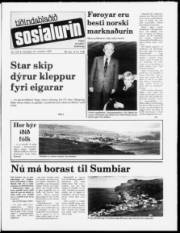 Síða 1