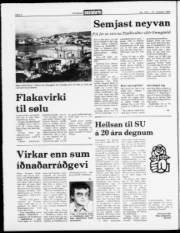 Síða 4