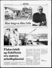 Síða 9
