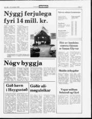 Síða 11