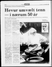 Síða 8