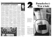 Síða 8