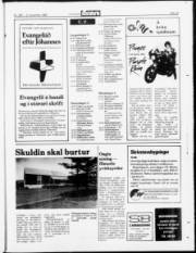 Síða 23