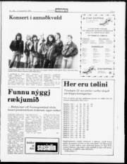 Síða 5