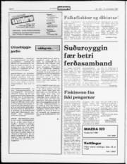 Síða 6
