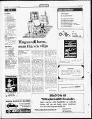 Síða 19
