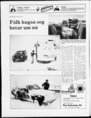 Síða 20