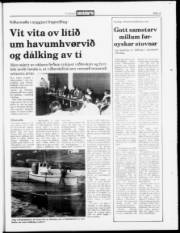 Síða 17