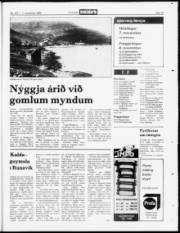 Síða 19