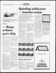 Síða 5