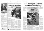 Síða 9