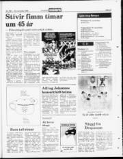Síða 23