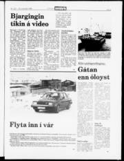 Síða 5