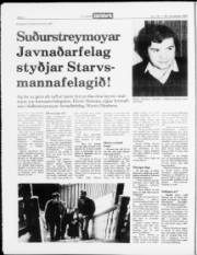 Síða 8